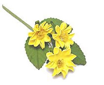 Corsage lente