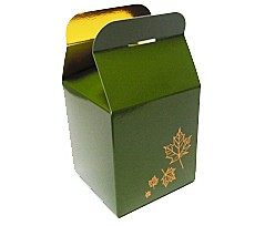 Cubebox 100x100x100mm Autumn design  Vert foret laque