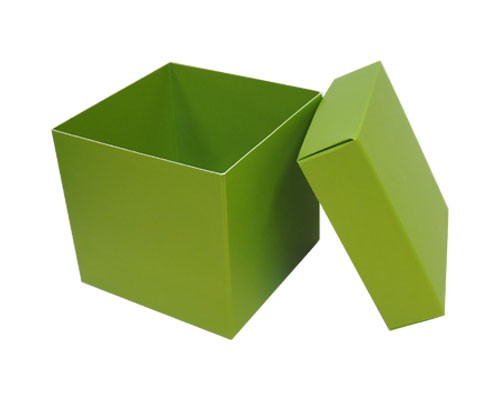 Cubebox appr. 500gr kiwi green