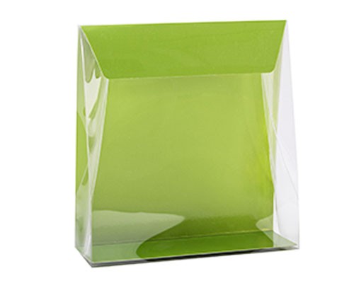 Pochette transparant L160xW50/H170mm kiwi green