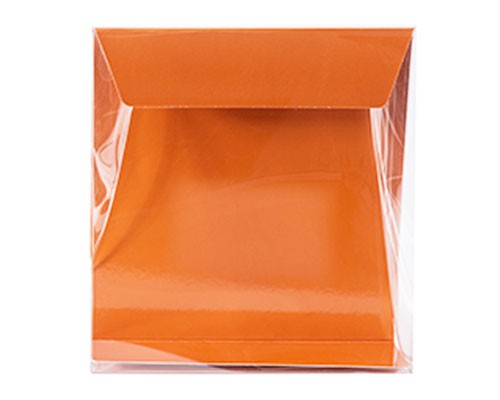 Pochette transparant L160xW50/H170mm sunset orange