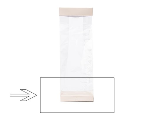 Arosabase 100x60x17mm seashell