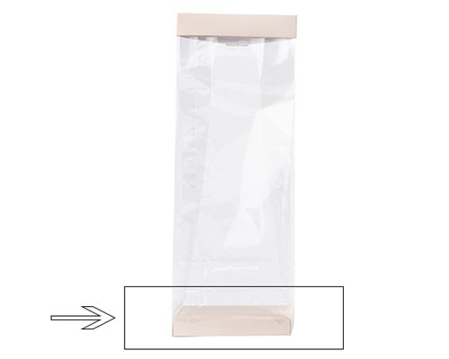 Arosabase 120x70x18mm seashell