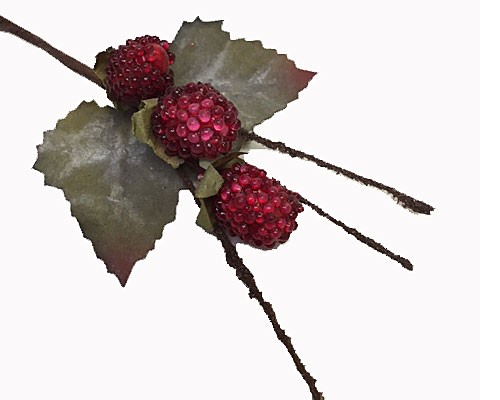 blackberry red