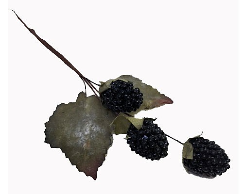 blackberry black