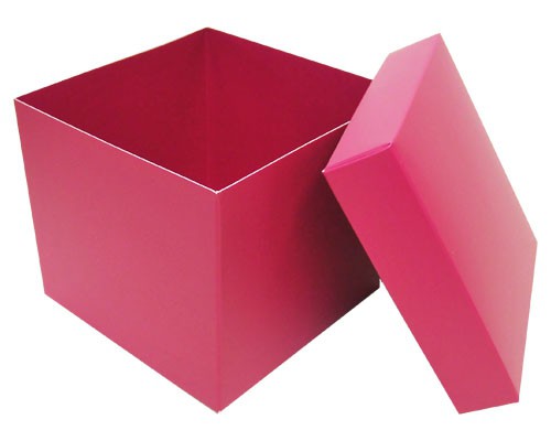 Cubebox appr. 750gr dahlia