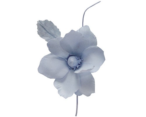 Helleborus, lavendel  