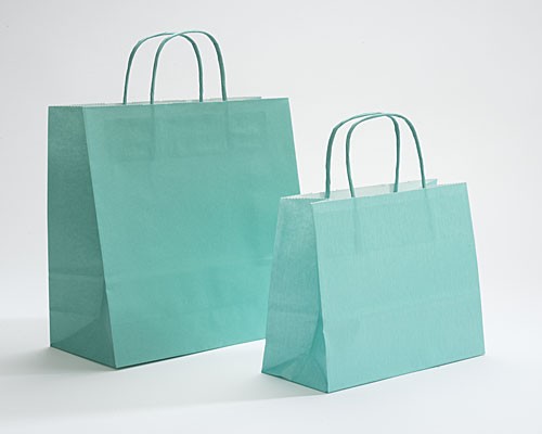 Paper bag curled handle L220x100x310mm green