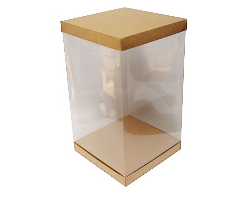 Skylinebox L250xW250xH400mm exterior Kraft