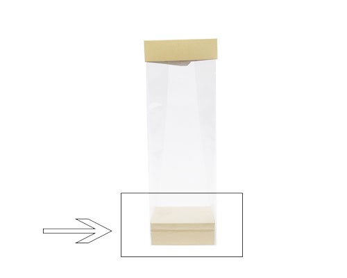 Arosabase 80x50x30mm seashell