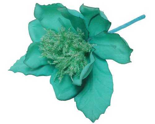 Zomeranemoon turquoise 