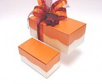 Golfdoos 500gr 165x90x60mm orange