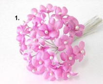 Vergeet mij nietje, oud rose