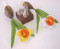 Narcis met bol, white, yellow