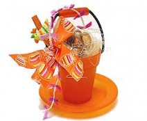Deko Bucket and Plate orange