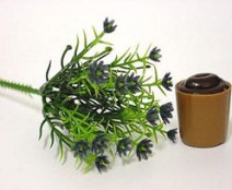 Gipskruid blue