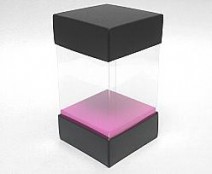 Skylinebox 80x80x130mm exterior Paris black-fuchsia