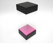 Skylinebox L80xW80xH180mm exterior Paris black-fuchsia