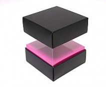 Skylinebox L90xW90xH90mm exterior Paris black-fuchsia