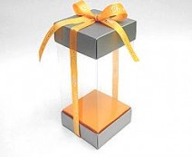Skylinebox L90xW90xH180mm exterior Monaco silver-orange