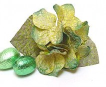 Hortensia pick Green