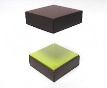 Skylinebox L100xW100xH140mm exterior Bali brown-lime