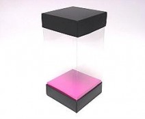 Skylinebox L100xW100xH190mm exterior Paris black-fuchsia