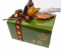 Ballotin Autumn design 1000gr Vert foret laque