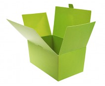 Ballotin with sideclosing, 1000 gr. kiwi green