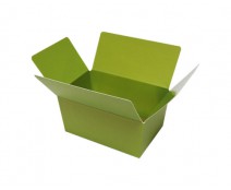 Ballotin, 125 gr. kiwi green