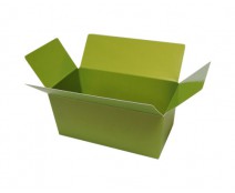 Ballotin, 250 gr. kiwi green