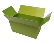 Ballotin, 500 gr. kiwi green