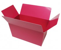 Ballotin, 750 gr. dahlia