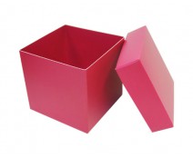 Cubebox appr. 500gr dahlia
