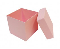 Cubebox appr. 500gr lotus