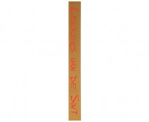Double face satin Lekkers vd Sint Gold