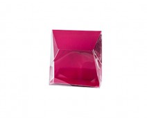 Pochette transparant L100xW50/H110mm dahlia
