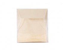 Pochette transparant L130xW50/H140mm seashell