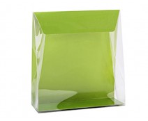 Pochette transparant L160xW50/H170mm kiwi green