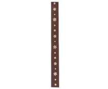 Ribanbel icestars brown