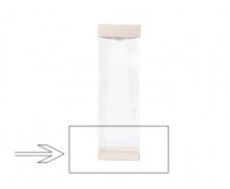 Arosabase 80x50x15mm seashell