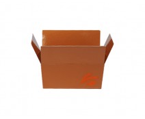 Ballotin Autumn figures 250 gr hazelnut
