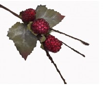 blackberry red