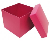Cubebox appr. 750gr dahlia