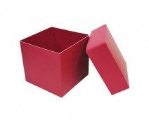 Cubebox appr. 250gr dahlia