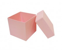 Cubebox appr. 250gr lotus