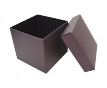 Cubebox appr. 500gr fig
