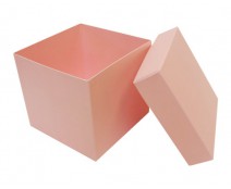 Cubebox appr. 750gr lotus