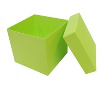 Cubebox appr. 750gr pistache