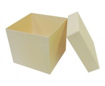 Cubebox appr. 750gr seashell